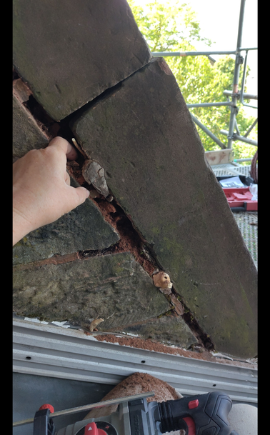 Ein Foto, das ich während der Arbeit machen konnte: 

Diese Pappel ist eine echte Kämpferin. Das sehen wir an den Jahrzehnte-alten Spuren, die alle vergeblichen Vertreibungsversuche hinterlassen haben... und an den gut zwei Eimern Humusboden, die wir aus der Fuge kratzen konnten - davon aber später.
hier siehst du die Zeichen auf dem "Stamm", der sich in die Fuge gequetscht hat, um immer wieder auszutreiben, nachdem die Dachdecker bei den jährlichen Wartungsarbeiten alle äußeren Äste zurück geschnitten haben.

Ich würde lügen, wenn ich behaupten würde, dass wir nicht einen gehörigen Respekt vor dieser Pflanze hätten.
Raus muss sie trotzdem. Wir versuchen aber, einen Ableger zu ziehen und an einen pappelfreundlicheren Ort zu pflanzen.