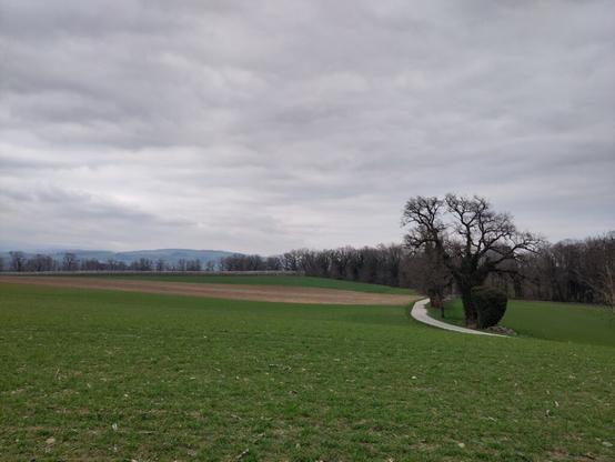 View of the area around Duiller on an overcast day