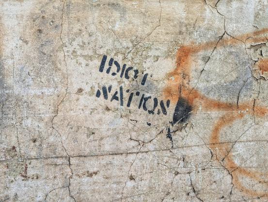 A close-up of a weathered, cracked beige-grey wall with peeling paint. Black stencil-like graffiti reads "IDIOT NATION" in two lines. To the right, faint orange spray paint forms an abstract, wavy pattern. The texture of the wall shows significant signs of age and deterioration.