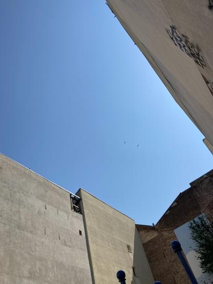 Es ist Sommer. In den Höfen der Stadt hallt das Echo der Mauerseglerrufe.