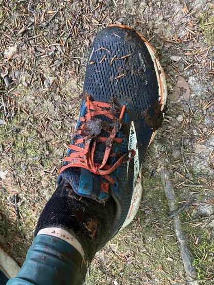 Ein Fuß in blauem Turnschuh mit orangenen Schuhbändeln, schwarzen Socken und blaugrüner Leggings. Alles ist nass und mit Tannennadeln und faulen Blättern bedeckt
