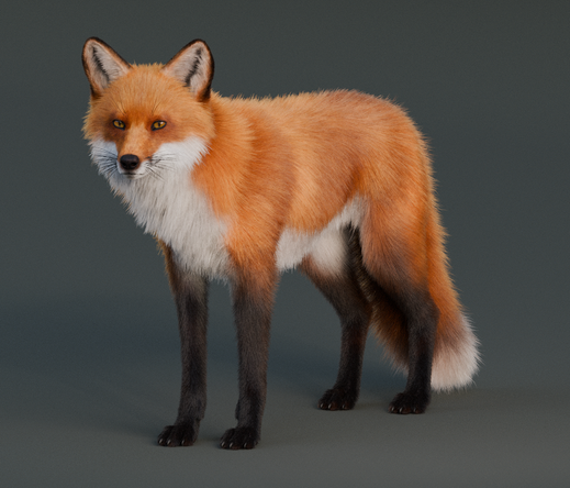 3D render of a fox.