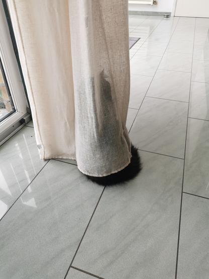 Roger est caché dans un rideau transparent beige. Une partie de son fluff royal dépasse. On aperçoit même ses pwals d'oreille. Il est si doué à ce jeu.