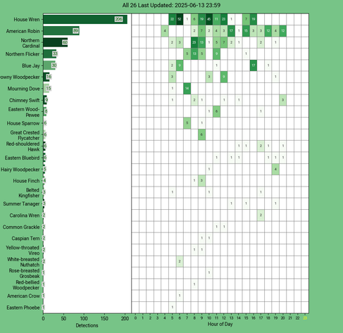 Chart generated by BirdNET-Pi with rows of all detected birds for Friday, June 13, 2025 in decending order.  The first large column displays a bar chart of relative frequency; the 24 reamaining columns create cells with the bird count for each hour of the day shaded by relative count.