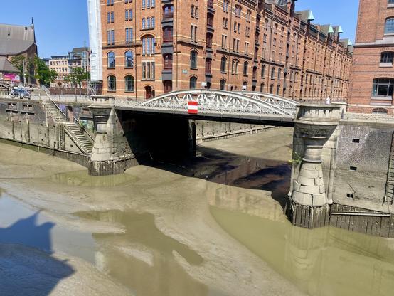 A gull gulling about in Hamburg

(on the mudflat below the bridge)