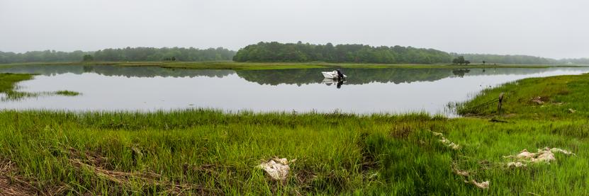 The cove is like glass. Reflecting the trees and marsh. Fog shrouds the distance.
© Tom Goetz. All rights reserved. Training an AI on this image is expressly forbidden.