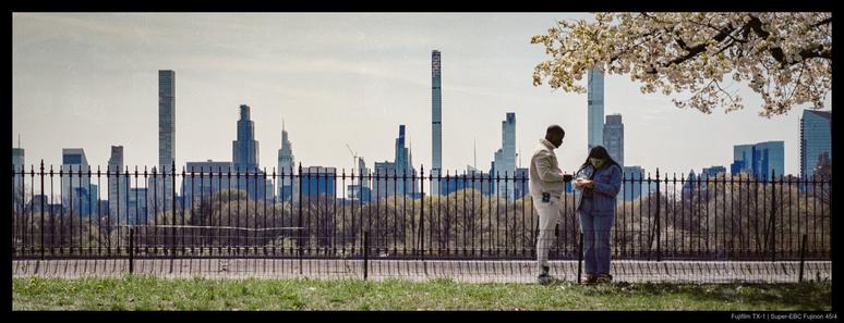Two people stand beneath a blossoming tree branch and in front of a fence.  Behind the fence is the large reservoir of Central Park, on the opposite shore of which stand more trees.  Behind those, the skyline of NYC is visible.