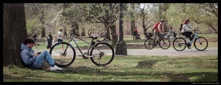 A person sits against a tree to take a break with their bicycle parked nearby.  Other cyclists and runners pass by in the background.