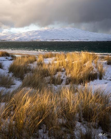 A winter scene from the Isle of Harris, Scotland. Golden light rakes across wind strewn marram grasses in the foreground while clouds float above the island of taransay off in the distance. Dark moody ocean lies between the two, dramatically contrasted by the ground covered head to toe in snow.