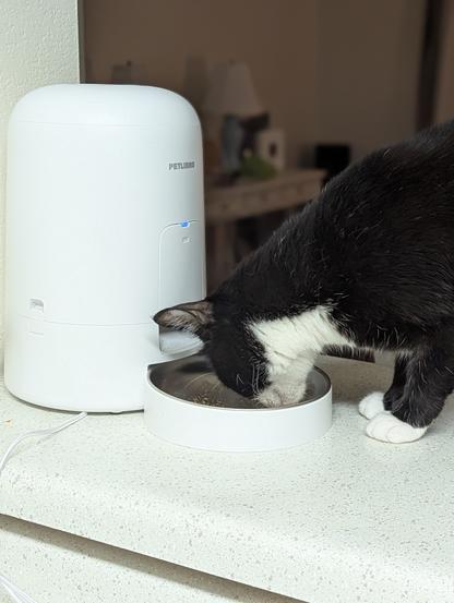 Betty using her new auto feeder