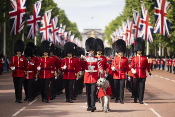 A ceremonial military parade during Trooping the Colour in London, with soldiers from the British Army’s Household Division marching in full red dress uniforms and tall black bearskin hats. A grey dog in a red cape walks at the front beside a marching officer holding a ceremonial baton. Rows of Union Jack flags line the Mall in the background.