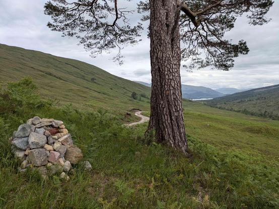 small memorial cairn with a wooden plaque on a grassy slope in a long straight glen running down to a loch. there's a single Scots pine trunk beside the cairn