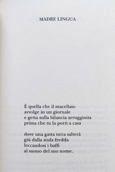 Pagina di un libro con i seguenti versi.

MADRE LINGUA
È quella che il macellaio
avvolge in un giornale
e getta sulla bilancia arrugginita
prima che tu la porti a casa

dove una gatta nera
salterà giù dalla stufa fredda
leccandosi i baffi
al suono del suo nome.