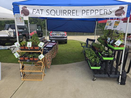 the front of our farmers market stall