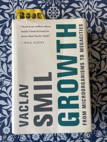 A photo of the cover of the book Growth: From Microorganisms to Megacities by Vaclav Smil against a blue and white floral backdrop.