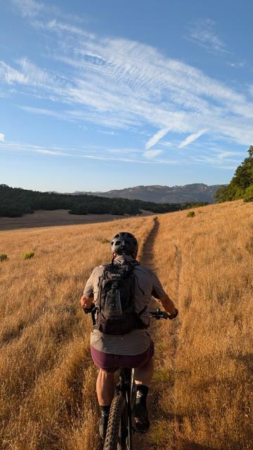 A rider on a trail in a meadow