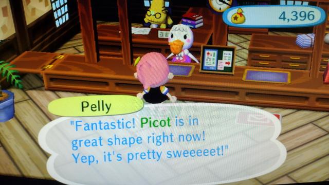 Pelly in town hall says "Fantastic! Picot is in great shape right now! Yep, it's pretty sweeeeet!"