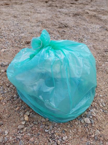 Un sac poubelle vert rempli des ordures récoltées sur un banc de sable du Fleuve Loire