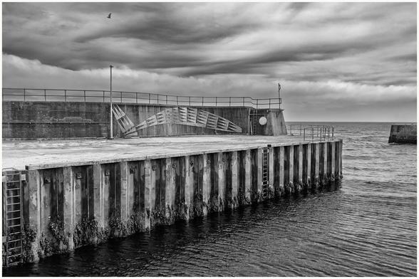 A black and white image of a pier with a concrete wall and a ladder leading into the water. The sky is overcast, and a bird is seen flying above the water in the distance.