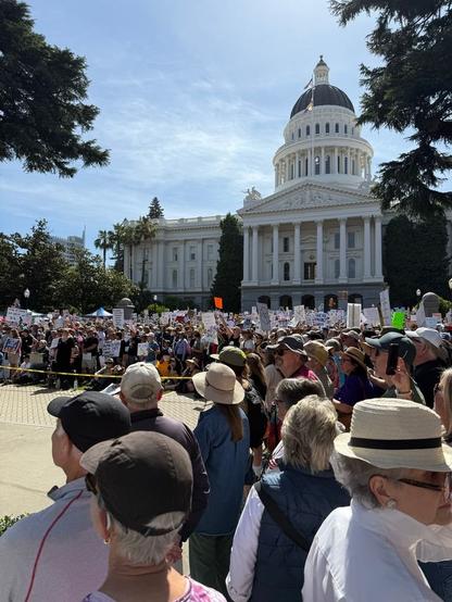 Sacramento, kelkel916.bsky.social, large crowd of protestors gathers infront of government building