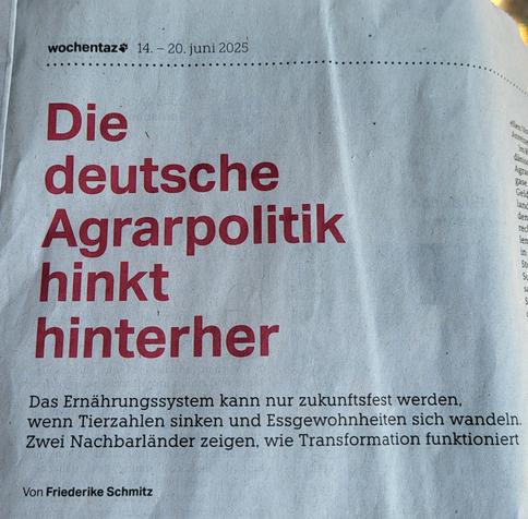 Die deutsche Agrarpolitik hinkt hinterher. Das Ernährungssystem kann nur zukunftsfest werden, wenn Tierzahlen sinken und Essgewohnheiten sich wandeln. Zwei Nachbarländer zeigen, wie Transformation funktioniert.