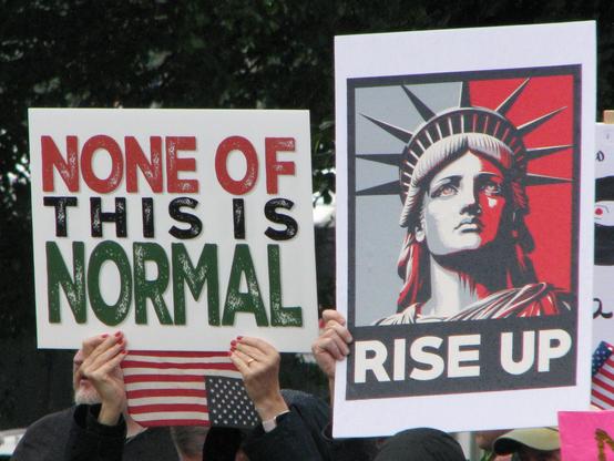 Two protest signs. On the left is red, black, green text on a white background reading "none of this is normal" with a small, upside-down American flag held beneath. On the right is an Obama/Hope style poster of the statue of liberty with text "Rise Up"