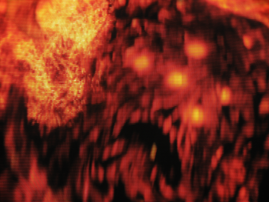 Pain and suffering are all that is known to the creature now called Ceaseless Discharge.