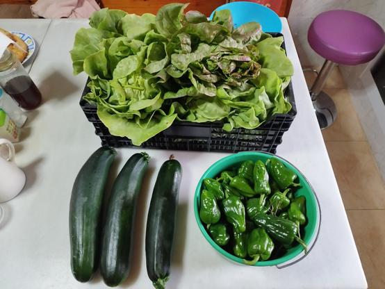 Foto de una mesa de mármol donde hay tres calabacines verdes de unos 30 centímetros de largo, un cubo pequeño de 4 litros de capacidad lleno de pimientos de Mougán. Y detrás una cesta de plástico de color negro de unos 50 centímetros de largo por 20 de ancho. Dentro hay dos lechugas blancas que llegan la caja (son enormes), y encima de ellas hay otra lechuga más pequeña de la variedad morada (es verde con las puntas de las hojas algo moradas).