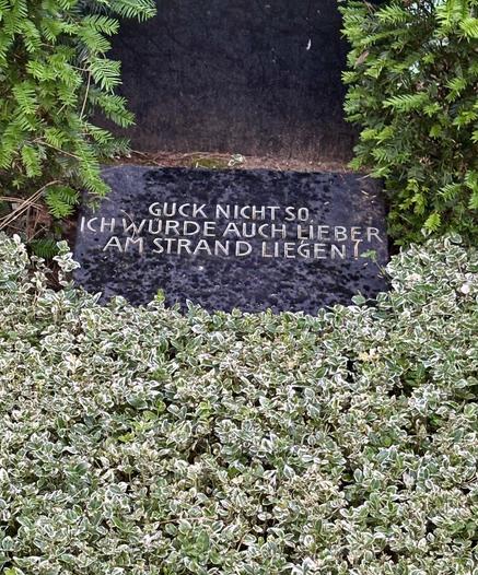A dark stone tombstone partially covered by greenery features a caption in German that reads, "Don't look so. I would rather be lying on the beach."