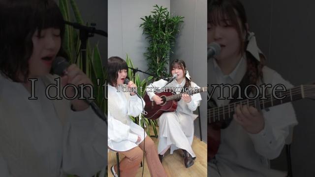 路上ライブでも歌わせていただいている曲の一つです😌🌱#dontcryanymore#miwa#ドラマ#泣かないと決めた日#主題歌#シンガーソングライター#jpop#歌ってみた#弾き語り#shorts