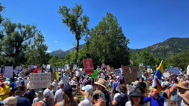 Looking across a park filled with thousands of peaceful gatherers holding a variety of different protest signs at a midday rally, with a few, tall, green trees and mountains in the distance under crystal clear blue skies.