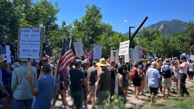 Hundreds of protesters holding a variety of signs and US flags marching peacefully along a tree lined path under sunny, blue skies, with a peek of mountains in the distance.