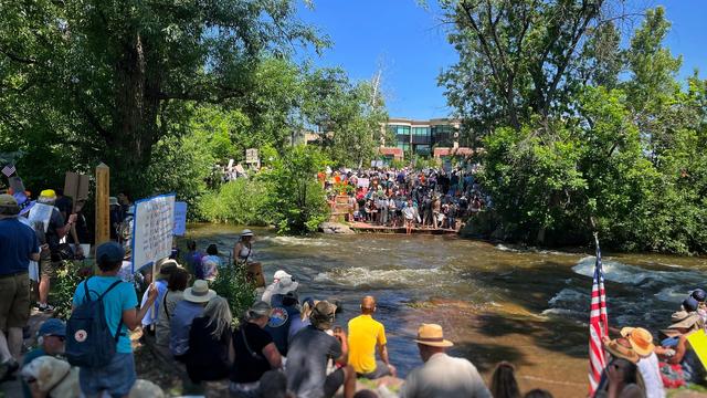 Another view of the large gathering of people lining both sides of a tree-shaded flowing creek in a downtown park under sunny blue skies.