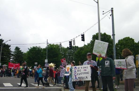 People at a park, and spilling over into the sidewalks. Some are crossing the streets. There are many colorful signs, including "Collins is Complicit" (referring to Maine Senator Susan Collns), and "FASCIST M.A.G.A. - Morons Are Governing America".
