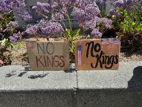 Two cardboard signs displayed outdoors, each reading "NO KINGS." One sign features a simple design with an emblem, while the other incorporates small American flag graphics. The background includes purple flowers and greenery.