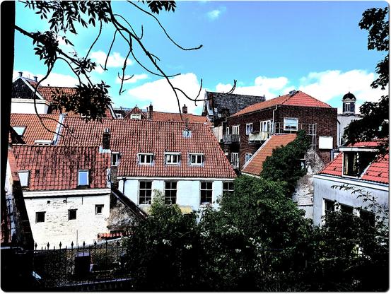 This is an edited photograph taken from the Burcht van Leiden, a historic fortress in the Netherlands. The image showcases a  cityscape dominated by traditional Dutch architecture. Prominent in the scene are red-tiled rooftops and brick facades, typical of the old urban structures in Leiden. The buildings vary in size and style but share a cohesive, historic character. In the background, a small tower with a dome is visible, likely part of a nearby church or municipal building. Overhanging branches from a nearby tree frame the upper part of the image, adding depth and a natural element. The colors are heavily saturated and the contrast is enhanced, giving the photo a vivid and slightly surreal look.