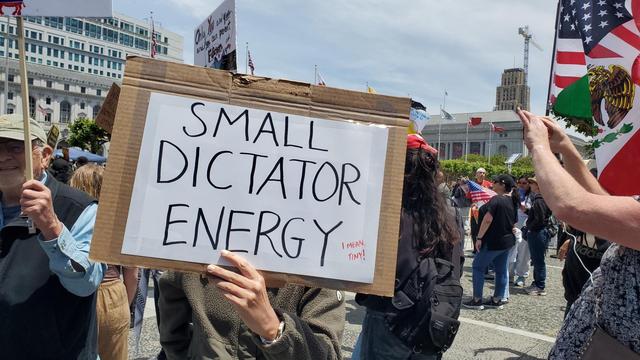 Small Dictator energy sign
