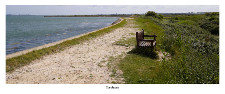 The sea wall stretches off into the distance. To the right of a well trodden path, a wooden bench faces inland.