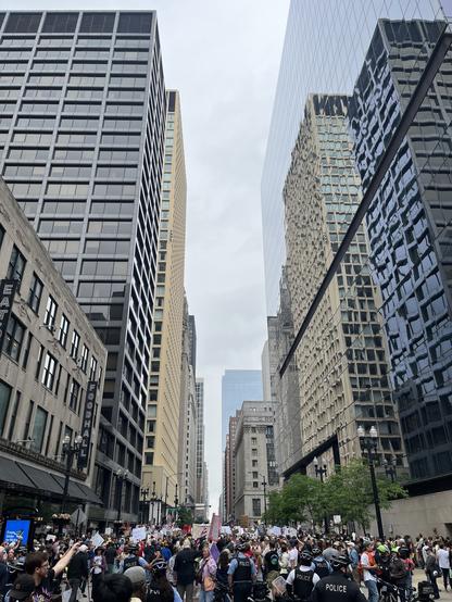 A very large crowd of people fill the streets near Chicago Daley Plaza. Many are holding homemade signs, with police visible nearby. Skyscrapers line both sides of the street under a cloudy sky.