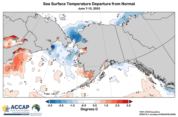 Map centered on Alaska showing the sea surface temperature departure from the 1991-2020 baseline average for the week of June 7-13, 2025.
