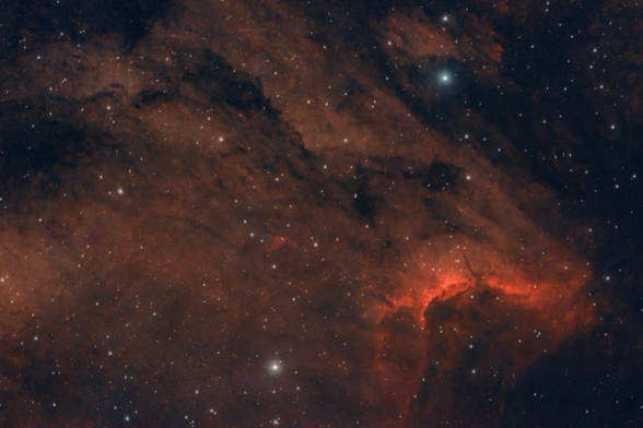 The Pelican nebula