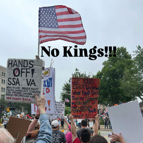 Text: No Kings! Poster text: If you ever wonder what you’d do during slavery, the holocaust or the civil rights movement, you’re doing it right now.