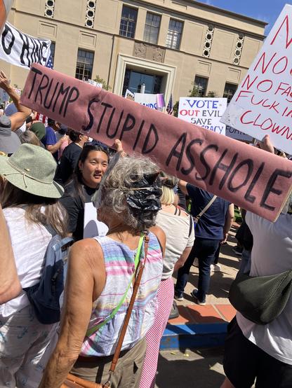 This woman has a vibe that I can only hope to equal.  she has a long sign that is pink and in black letters says Trump stupid asshole.  She wears a rabbit mask and wields it with determination.