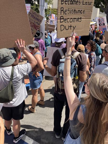 more protestors in front of the courthouse.