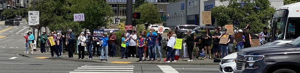 protest crowd on one corner in kenmore