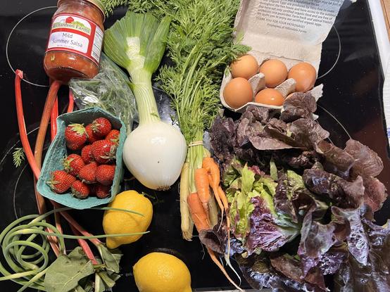 Photo of a bunch of veggies and farm stuff spread out on the stovetop. There is a large head of red lettuce, half a dozen eggs, carrots, an onion with the stem still attached, two lemons, some rhubarb, some garlic scapes, a container of strawberries and a jar of salsa.