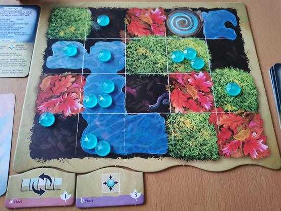 Spielboard mit verschiedenen naturgebieten, darauf Tautropfen verteilt