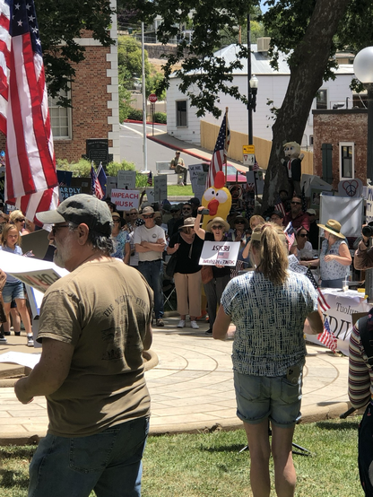 Sonora California No Kings protest