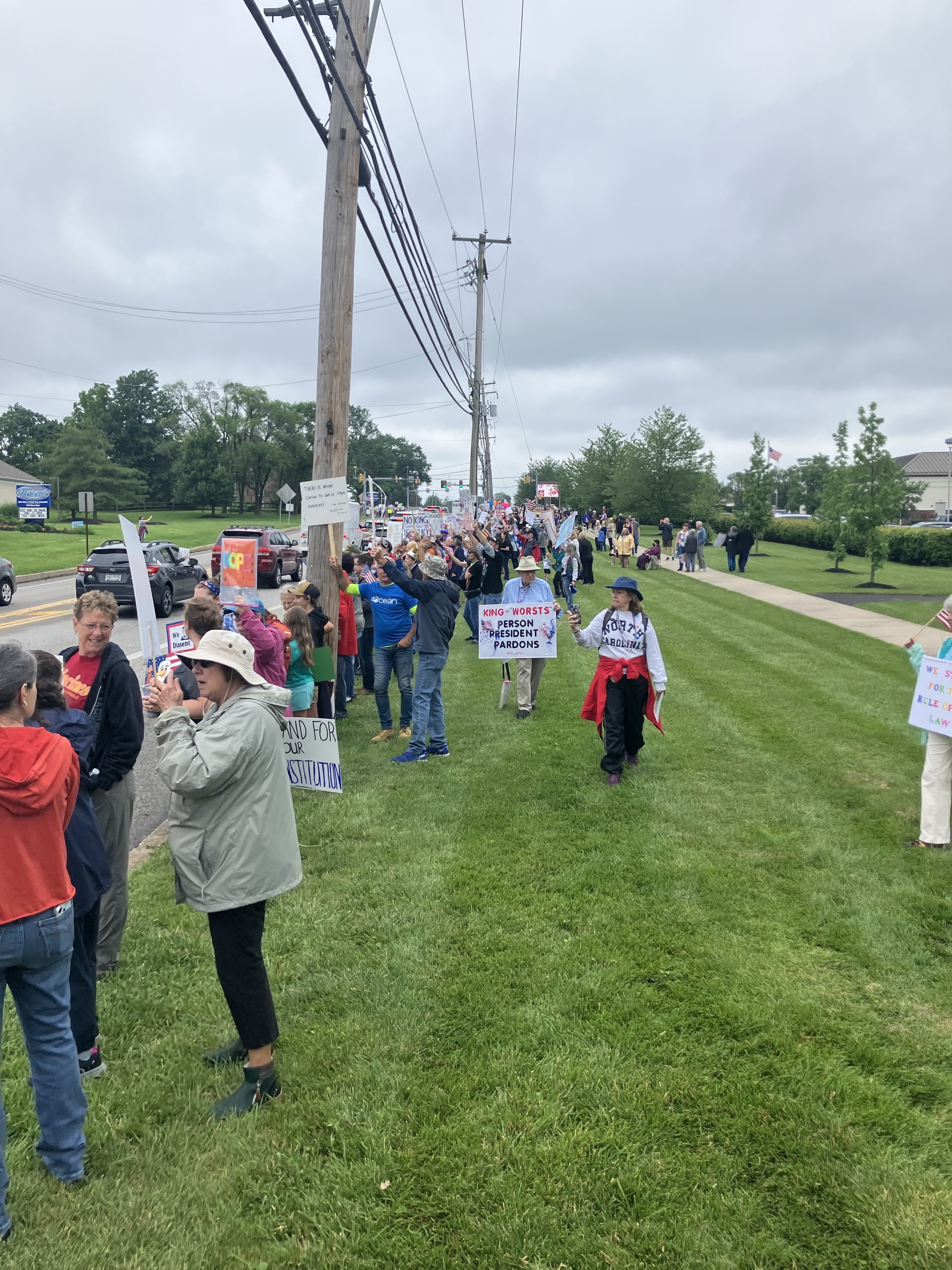A large group of people is participating in a protest along a grassy area beside a road. They are holding various signs with messages related to their cause. The sky is overcast, and there are power lines overhead.