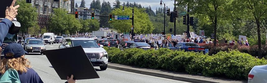 a shot of Bothell Way (the main highway running just south of downtown) showing masses of crowds on both sides of the highway. the crowd is particularly visible on the south side, where there is a large park.